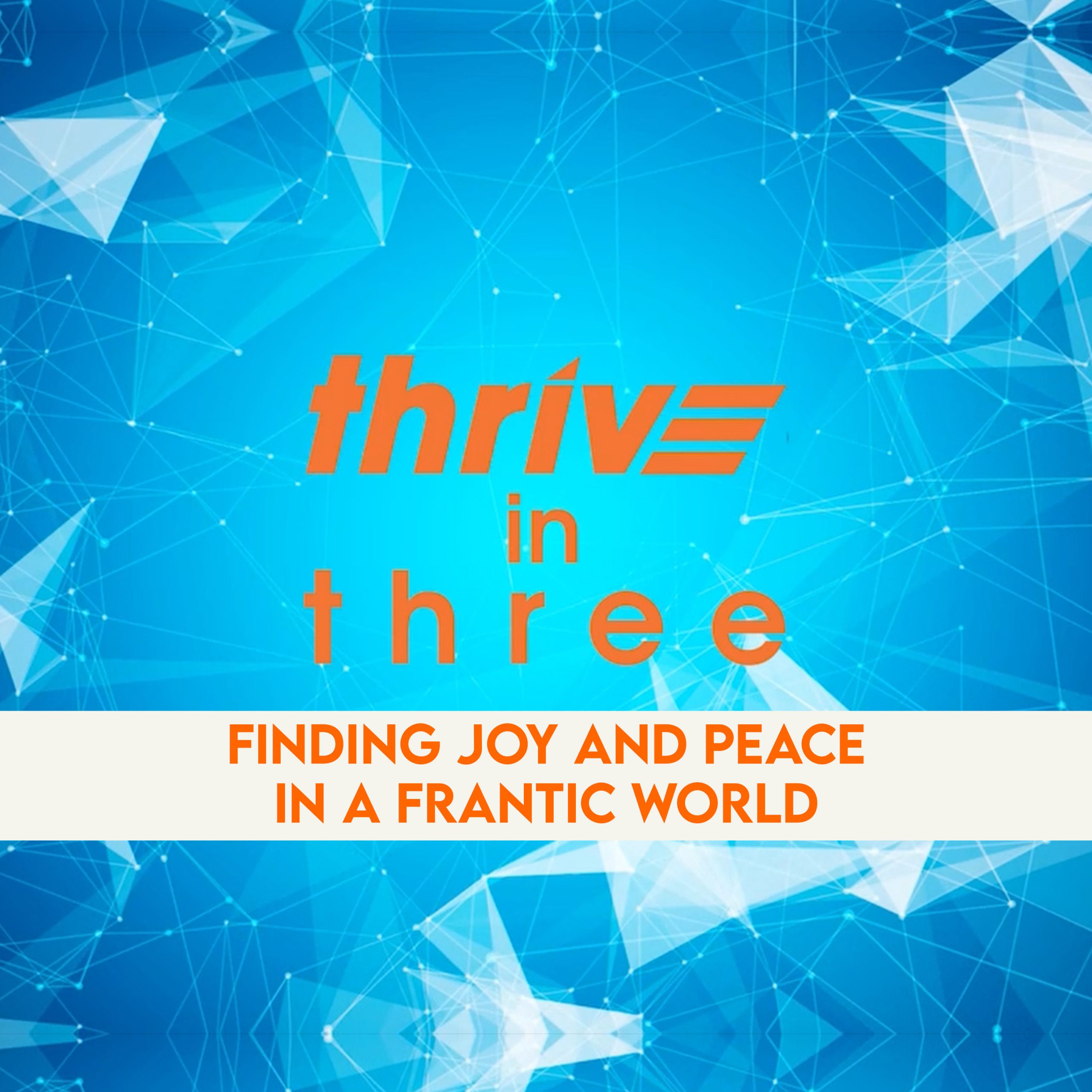 Finding Joy and Peace in a Frantic World